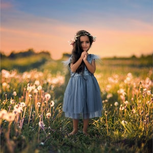 Dandelion Road Digital Backdrop, Golden Summer Background, Nature, Meadow, Instant Download