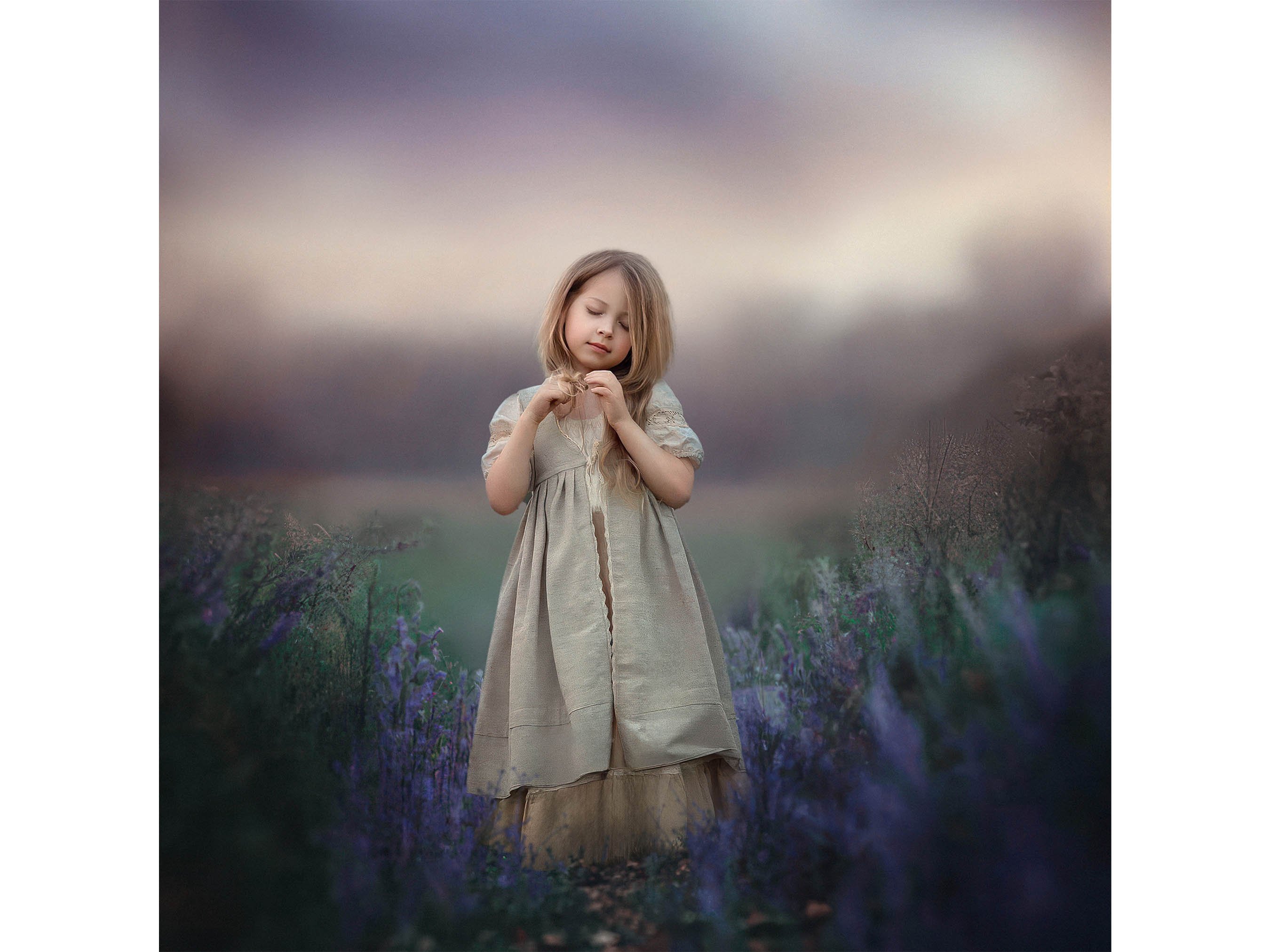 Heather Field Digital Background, Purple Field Backdrop, Misty Night, Evening, Nature, Outside, Instant Download