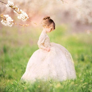 Spring Garden Digital Background, Cherry Blossom Backdrop, Blooming Trees, Flowers, Nature, Outdoor, Instant Download