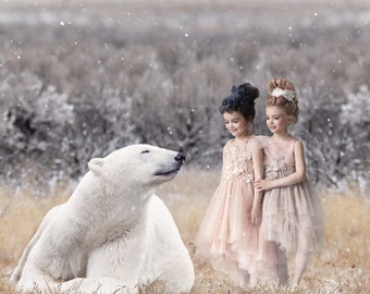 White Bear Digital Background, Polar Bear, Winter Field Backdrop, Animal, Nature, Outside, Instant Download
