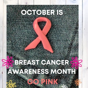 Pink Enamel Breast Cancer Awareness Ribbon Pin: Secure Locking Back