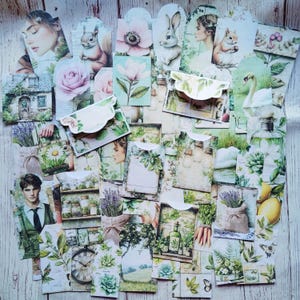 Natuur-ephemeraset, 54 stuks, Junk Journal-ephemera, plakboeken, Junk Journal-benodigdheden, Journal-goodies