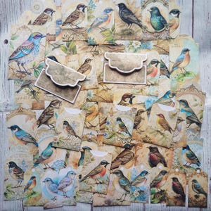 Conjunto de objetos efêmeros de pássaros vintage, 54 peças, suprimentos para diários de sucata, suprimentos de papel, itens para diários de sucata