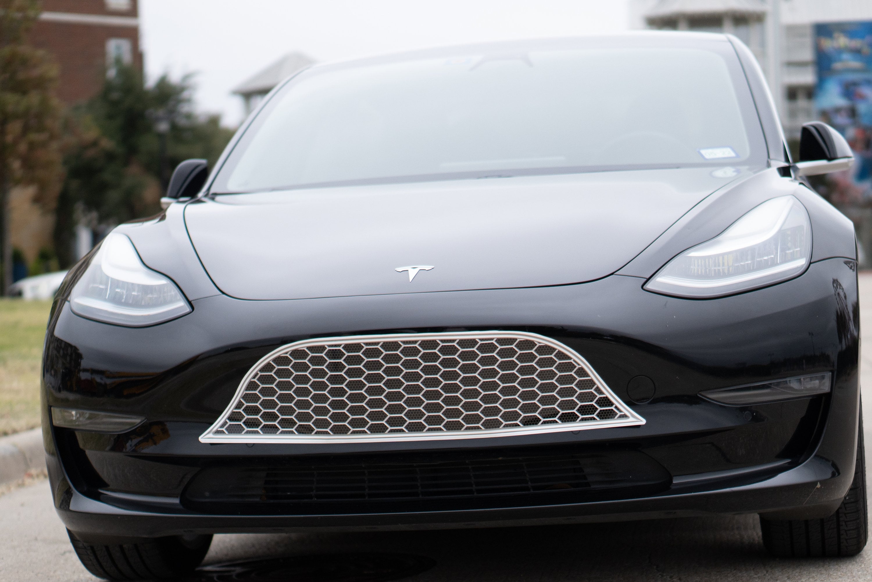 Vehicle Decal for the Tesla Model 3 or Model Y Car Front Bumper