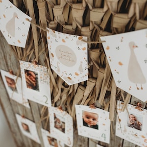 SET Jahreskarten und Wimpelgirlande für Geburtstag Geburtstag erste Dekoration Meilensteinkarte erstes Jahr Jahresrückblick Baby boho