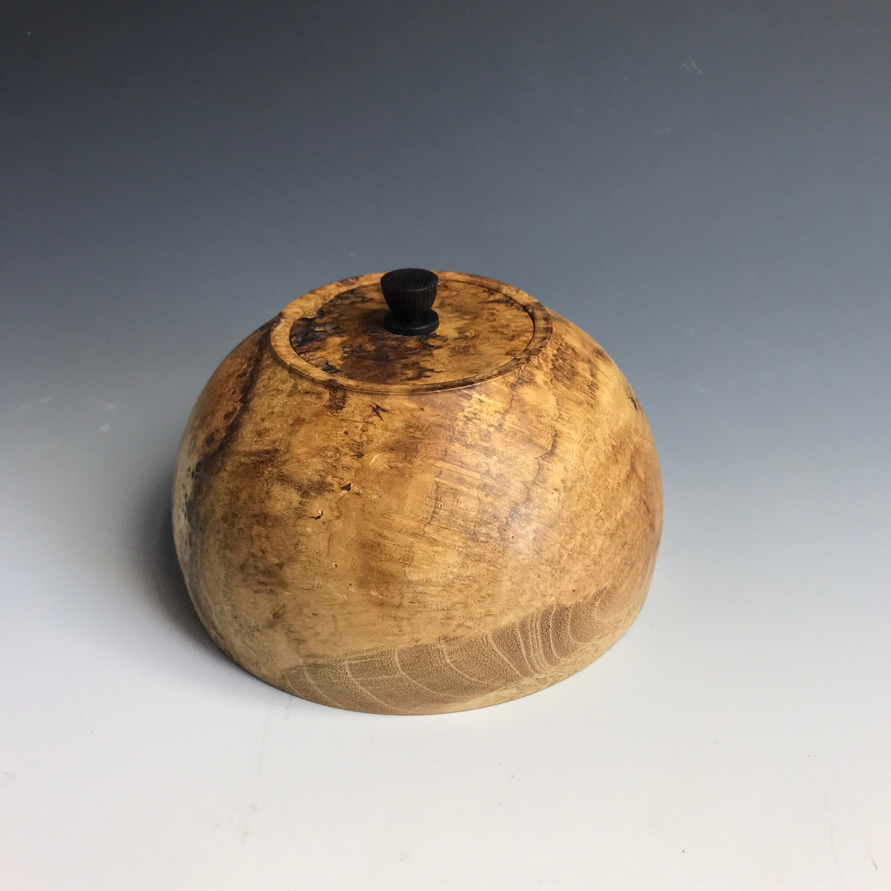 Boite Loupe de Robinier