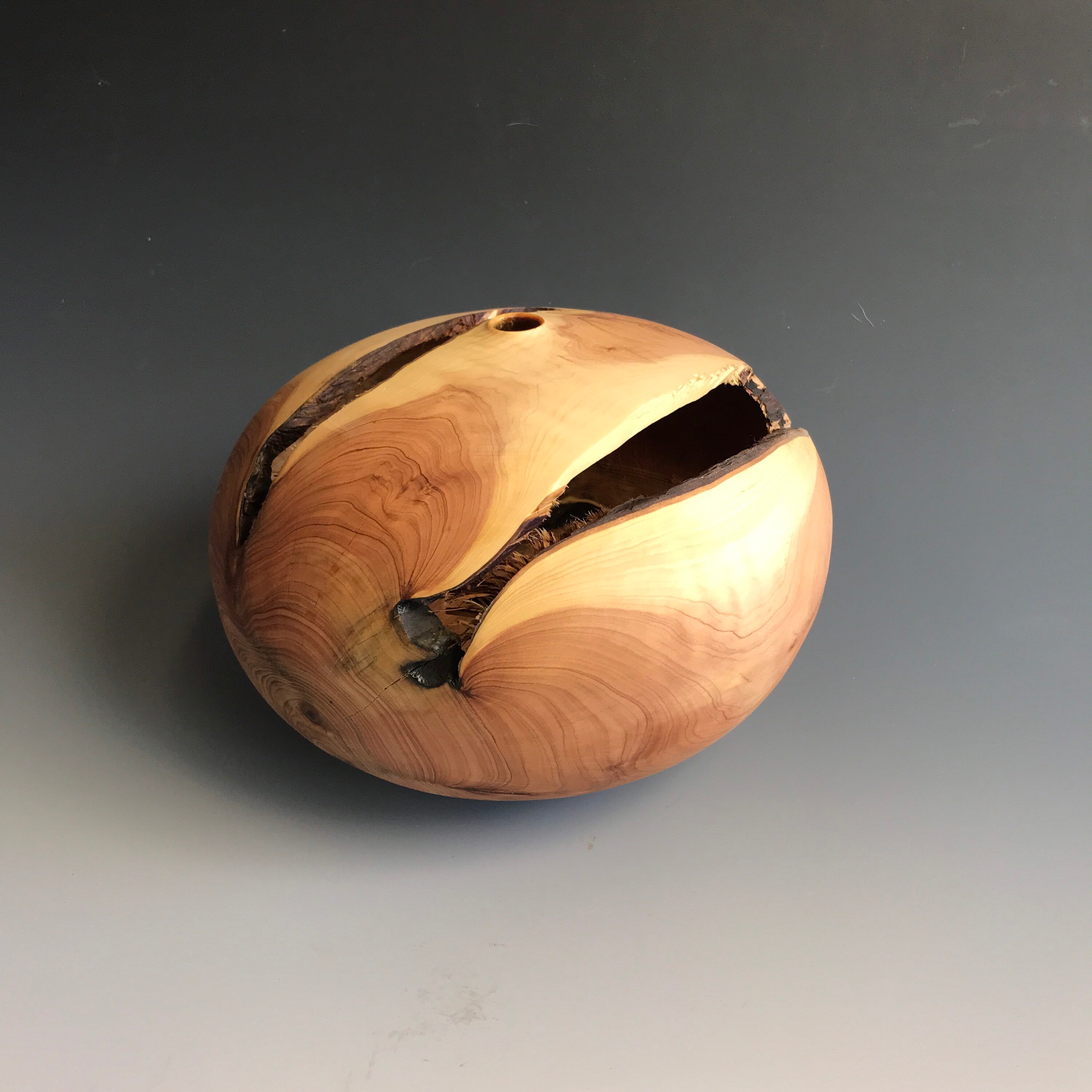 Vase Bois Décoratif - Forme Creuse de Cade