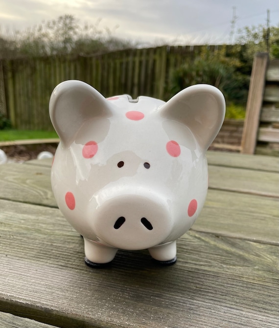 Traditional piggy bank best sale
