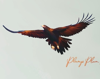 May include: A brown leather sofa with three cushions against a white wall with a brown and black eagle in flight above it. The text "Plump Plum Studio" is written in pink below the eagle.