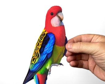 May include: A colorful parrot with red, yellow, blue, and green feathers. The parrot has a long tail and is perched on a branch.