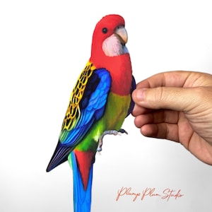 Eastern Rosella decal, Colourful bird sticker, light switch decal, Australian parrot decal, vinyl wall decal, indoor/outdoor vinyl decal