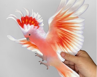 May include: A pink and red cockatoo with white feathers and a red crest is flying with its wings spread. The bird is in mid-flight and its feet are extended. The background is a light gray.