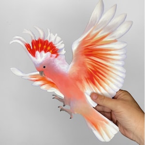 May include: A pink and red cockatoo with white feathers and a red crest is flying with its wings spread. The bird is in mid-flight and its feet are extended. The background is a light gray.