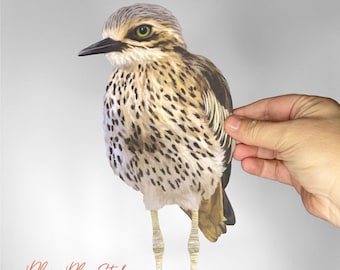 Australian Stone Curlew Bird Decal: Textured Vinyl Sticker