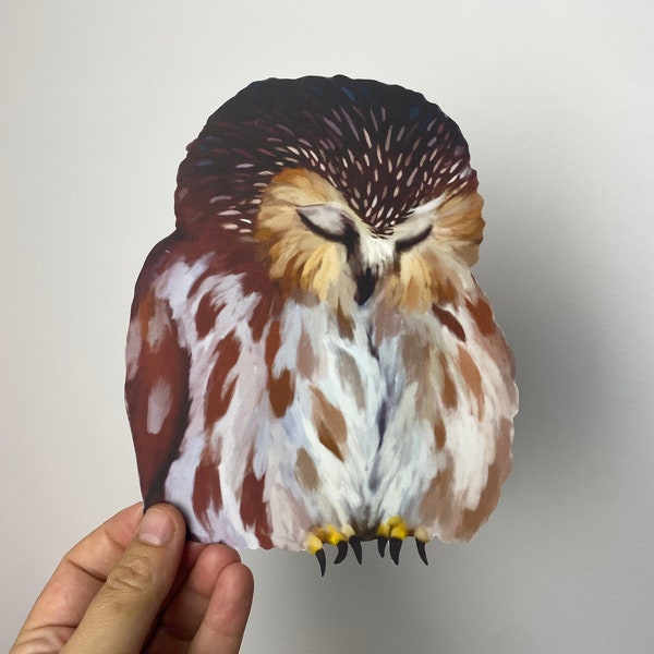 Sleeping Owl decal, Realistic owl decal, Bird lover gift, car sticker, removable bird vinyl sticker, outdoor window decal, nature lover gift