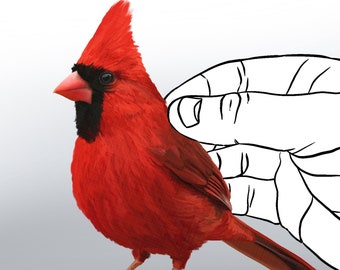 Red Cardinal bird decal, red bird sticker, peel and stick, light switch decal, cute little bird decal, fabric textured vinyl, car decal