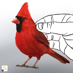 Rode kardinaal vogel sticker, rode vogel sticker, schil en stok, lichtschakelaar sticker, schattige kleine vogel sticker, stof getextureerd vinyl, auto sticker