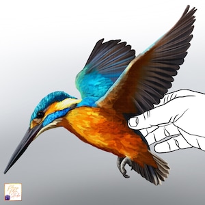 Flying Kingfisher decal, bird wall sticker, Common Kingfisher sticker, bird sticker, indoor/outdoor textured vinyl decal, car decal