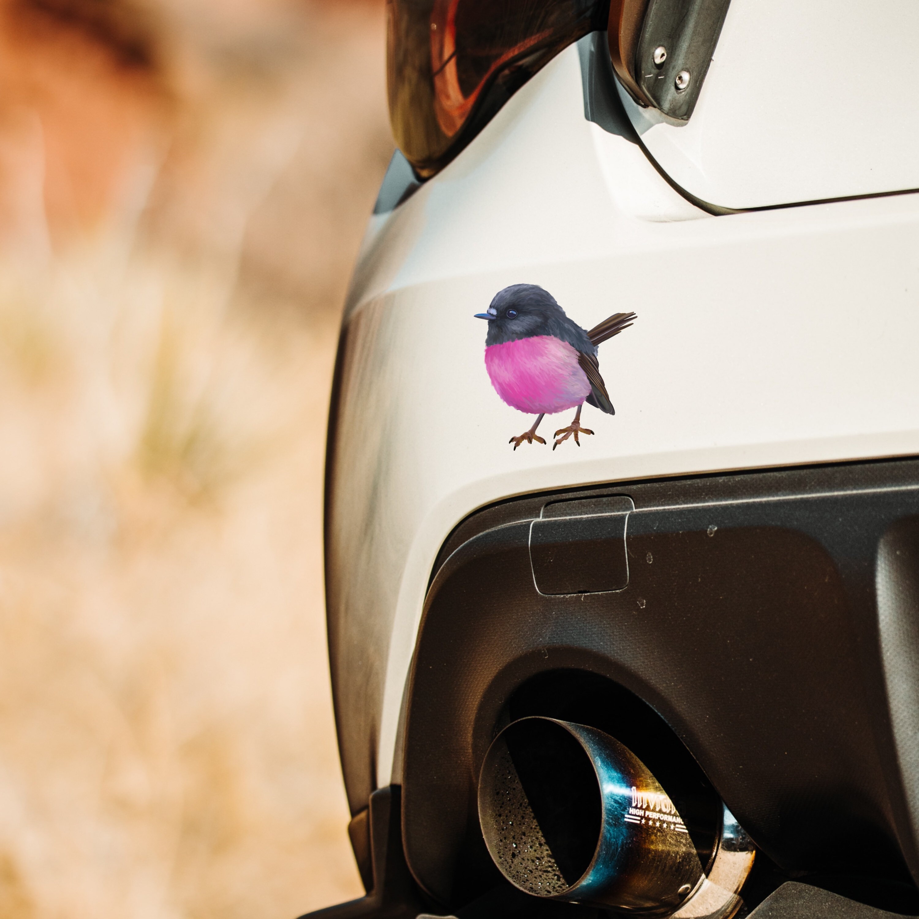 Pink Robin Sticker Pink Robin Decal: Australian Bird Sticker, Repositionable Fabric ...