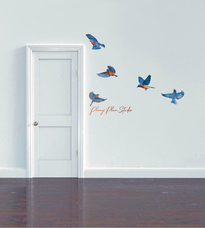 Set of Blue Bird Decals bundle of 5 Realistic Blue Bird Etsy