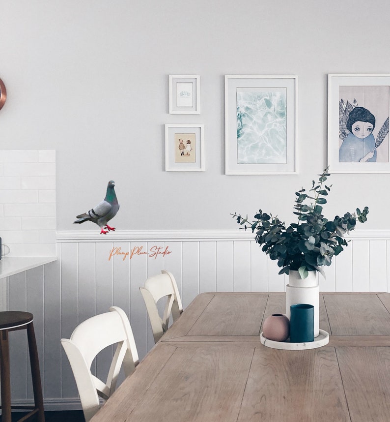 May include: A light gray pigeon with red feet is perched on a white ledge. The pigeon is in front of a white wall with framed artwork. The artwork includes a seascape, a landscape, and a portrait. There is a wooden table with white chairs and a vase of eucalyptus in the foreground.