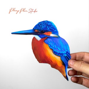 Common Kingfisher decal, bird wall sticker, Kingfisher bird sticker, light switch decal, indoor/outdoor textured vinyl bird decal, car decal