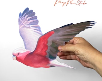 May include: A pink and grey galah, a type of Australian parrot, is flying with its wings spread. The bird is painted in a realistic style and is set against a white background.
