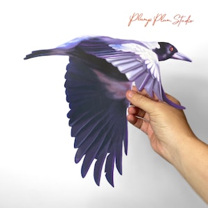 Flying Magpie decal, Australian Magpie, Bird lover gift, outdoor black/white bird sticker, peel and stick, repositionable vinyl wall decal