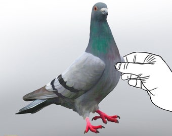 Madcolitote Autocollant 3D En Vinyle Pour Fenêtre De Voiture - Pour