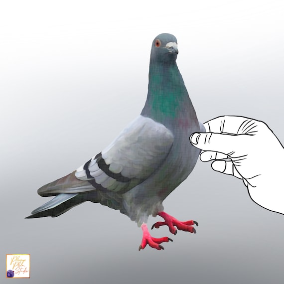 Pigeon Decal: Realistic Bird Sticker, Indoor/Outdoor Vinyl Art