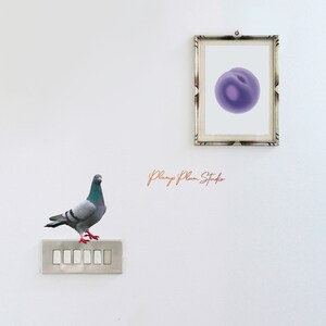 May include: A gray pigeon perched on a white light switch plate with five buttons. A framed picture of a purple abstract shape hangs on a white wall behind the pigeon. The text "Plump Plum Studio" is written in cursive on the wall.