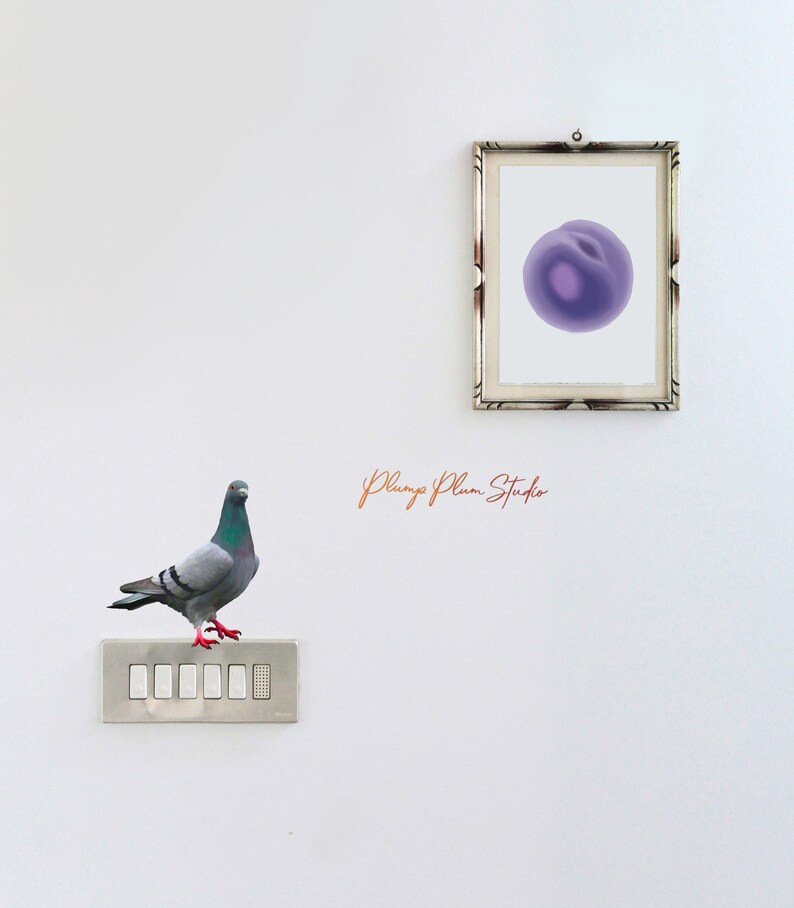 May include: A gray pigeon perched on a white light switch plate with five buttons. A framed picture of a purple abstract shape hangs on a white wall behind the pigeon. The text "Plump Plum Studio" is written in cursive on the wall.