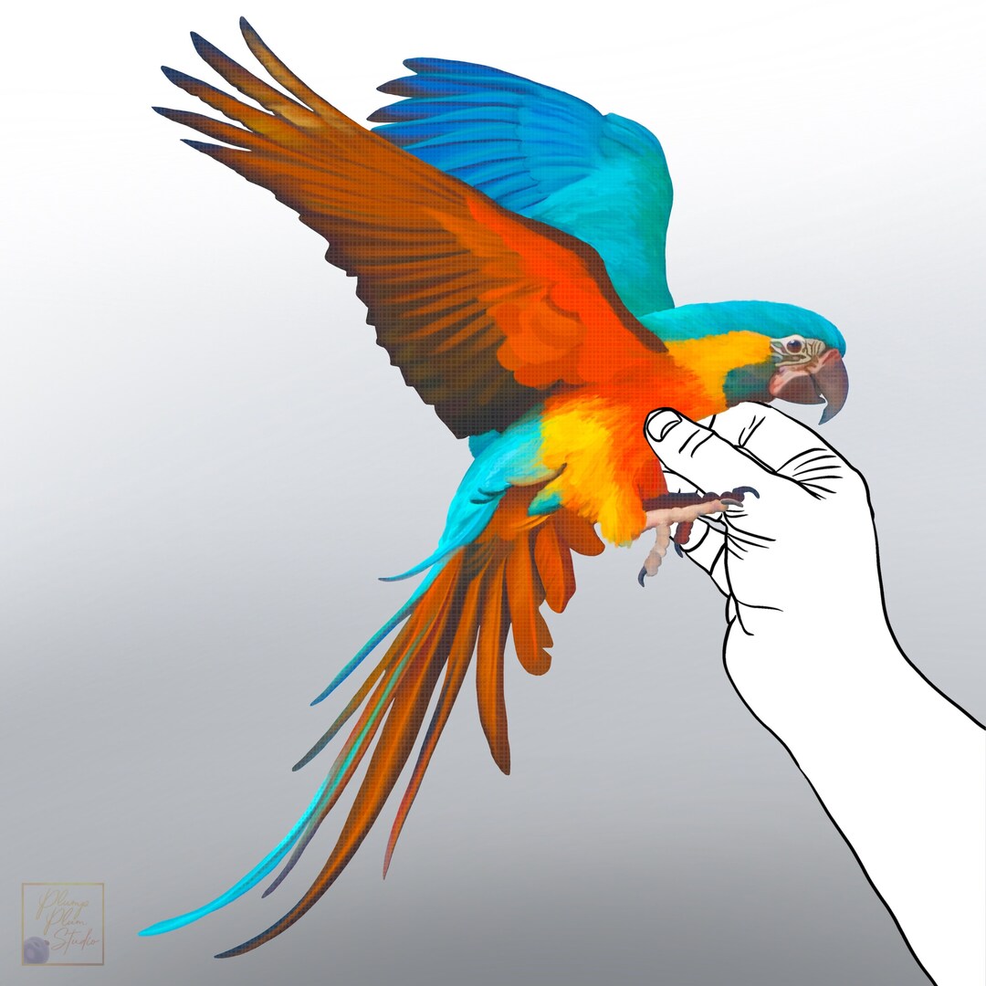 Macaw Vinyl Sticker, Blue Gold Macaw Sticker, Realistic Macaw Bird ... - Macaw Bird Lover