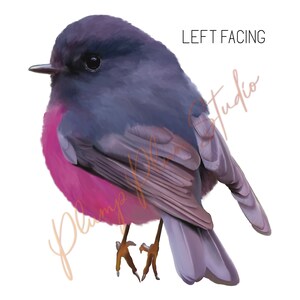 Pink Robin Sticker Pink Robin Decal, Pink Robin Vinyl Sticker, Peel/stick, Light Switch ...