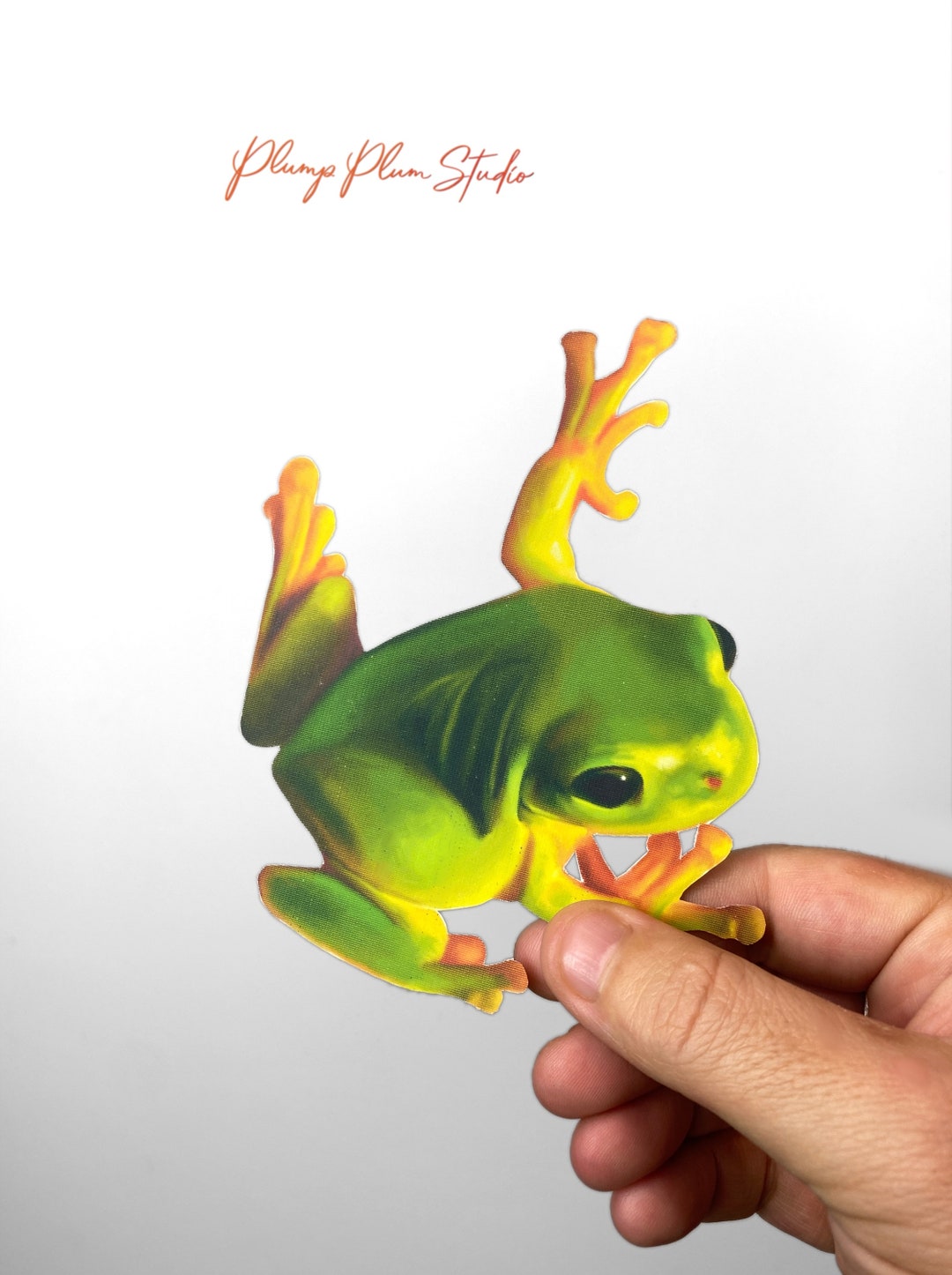 Australian Green Tree Frog Decal, Illustrated Frog Sticker, Frog Art
