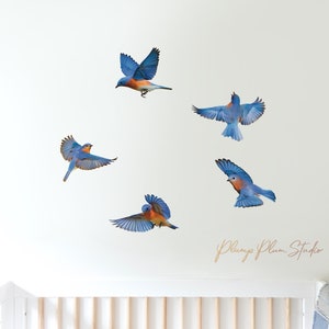 Set of Blue bird decals (bundle of 5), realistic blue bird wall stickers, indoor/outdoor repositionable luxury textured vinyl, car decals