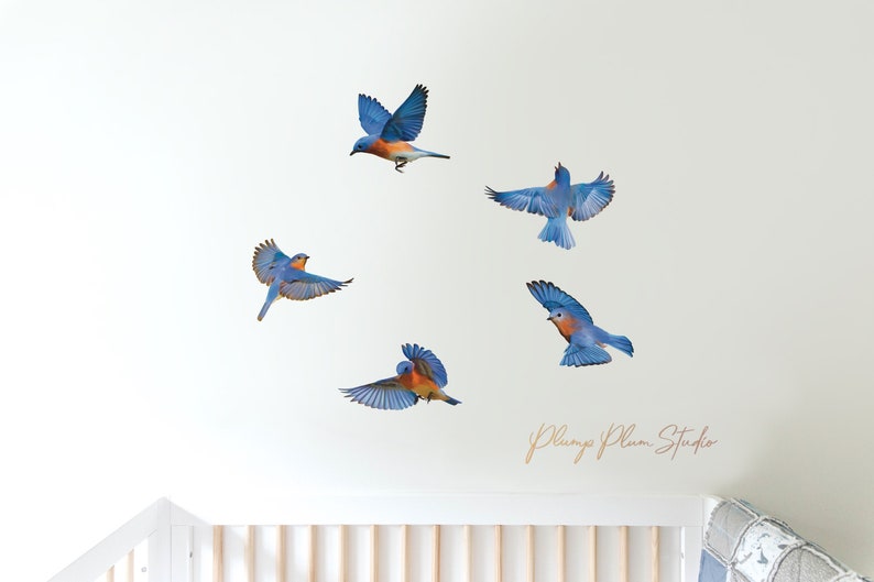 Set of Blue Bird Decals bundle of 5 Realistic Blue Bird Etsy