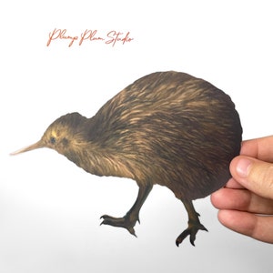 Op de afbeelding: Een bruine en zwarte kiwi-vogel met een lange snavel en kleine poten. De vogel loopt op een witte achtergrond.