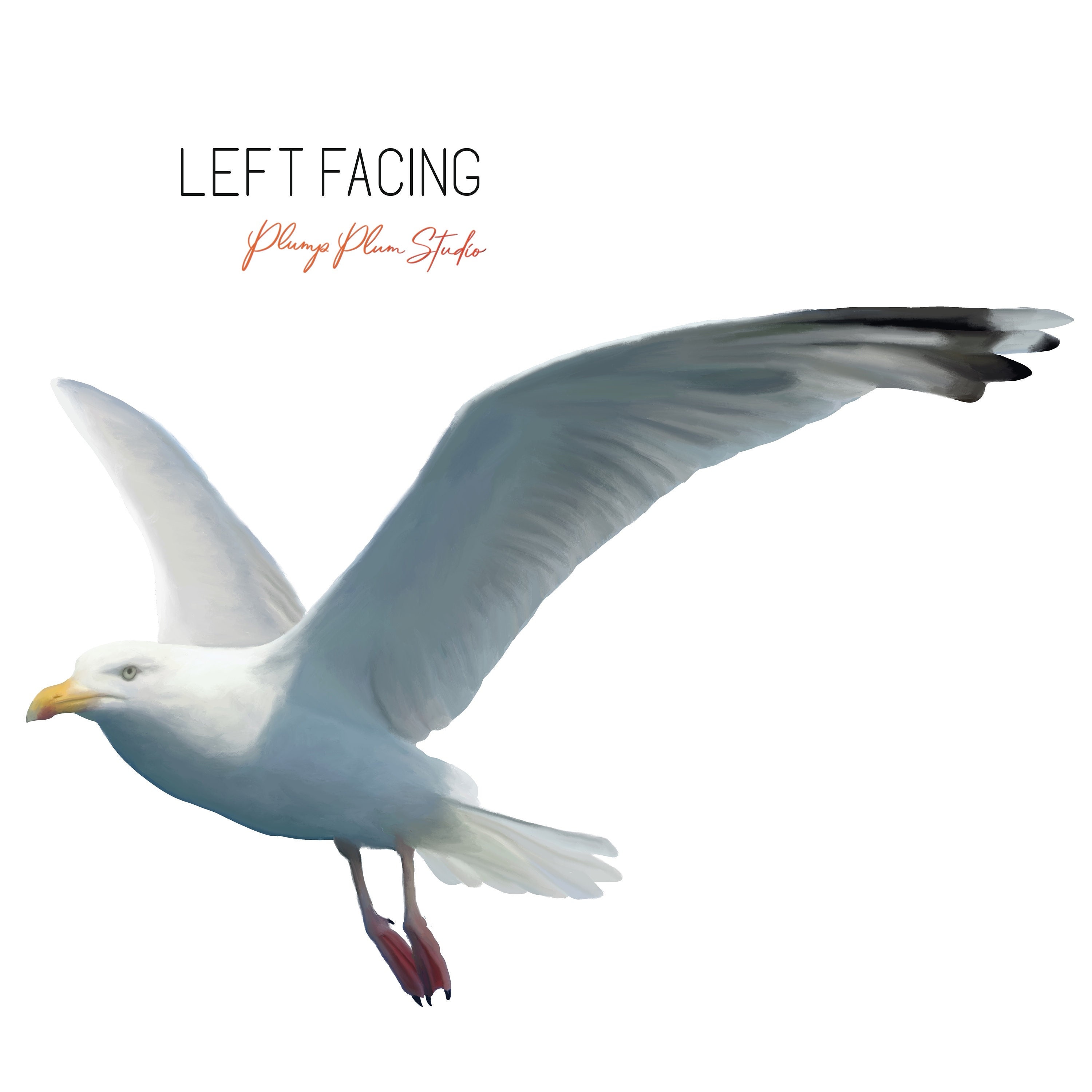 Realistic Flying Seagull Decal Seagull Art Bird Lover Gift Etsy