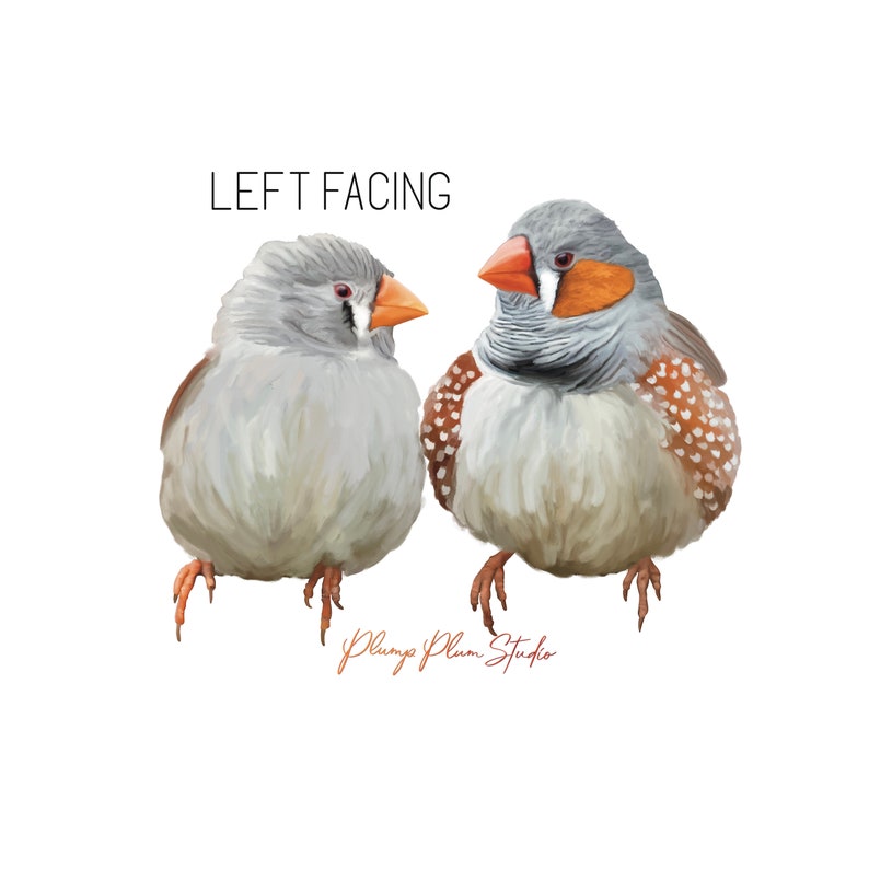 Zebra finch pair decal, Australian finches sticker, peel/stick textured vinyl light switch decal, cute little love birds, luxury vinyl decal Left facing