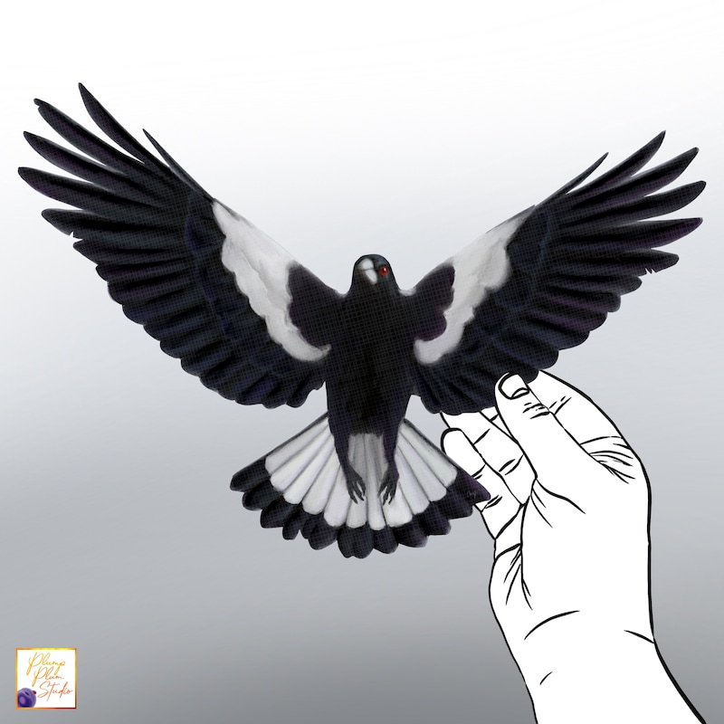 Magpie Pattern - Etsy