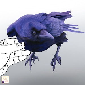 Raven sticker, neergestreken raaf, vogelliefhebber cadeau, geïllustreerde raaf sticker, gotische kraai, schil en stok, herpositioneerbare getextureerde vinyl sticker