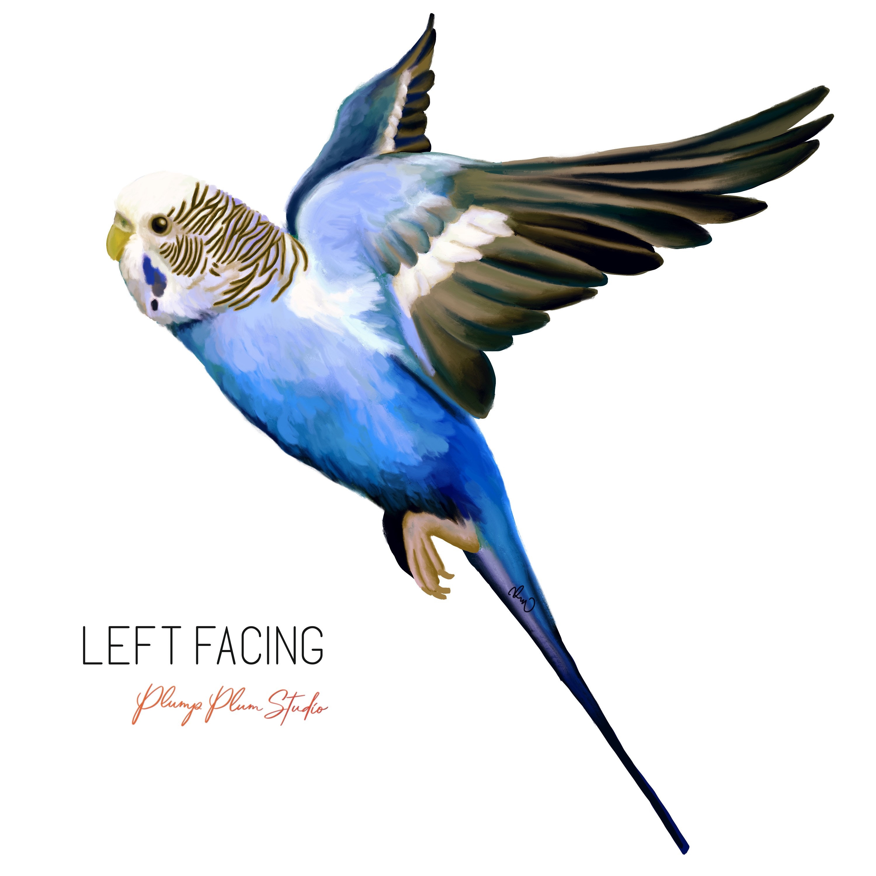 Flying Blue Budgie Decal, Australian Blue/white Budgie Sticker, Light  Switch Decal, Cute Bird, Textured Vinyl Car Decal, Indoor/outdoor - Etsy