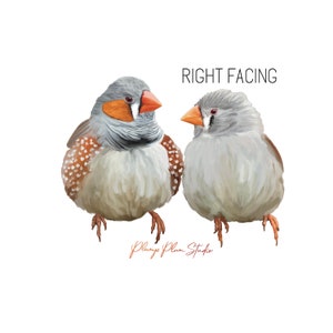 Zebra finch pair decal, Australian finches sticker, peel/stick textured vinyl light switch decal, cute little love birds, luxury vinyl decal Right facing