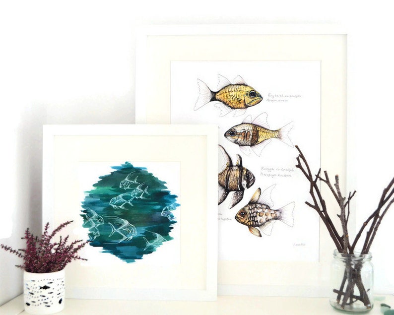 Cardinalfish, Giclee Print, Fish Illustration, A5, A4, A3, Marine Print image 5