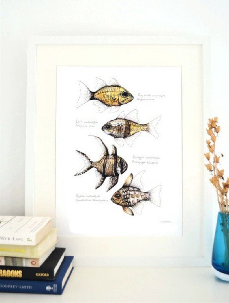 Cardinalfish, Giclee Print, Fish Illustration, A5, A4, A3, Marine Print image 3