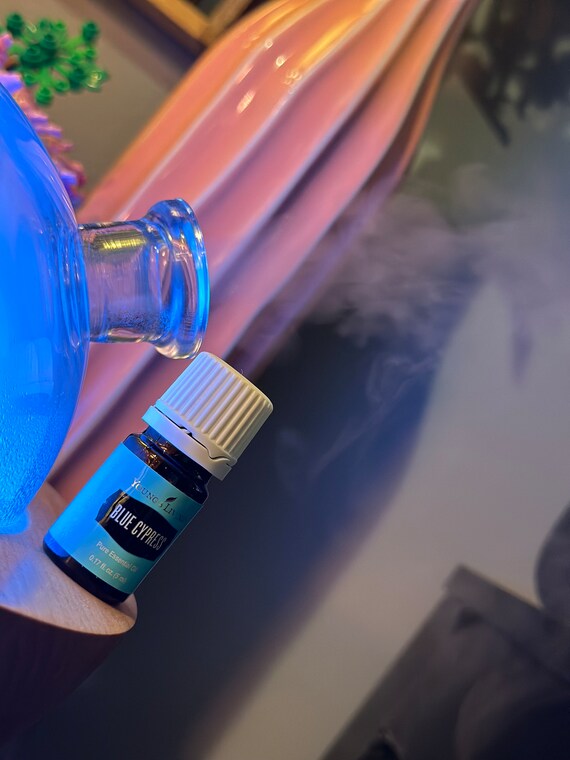 ヤングリビング ブルーサイプレス エッセンシャルオイル 5ml - Etsy 日本