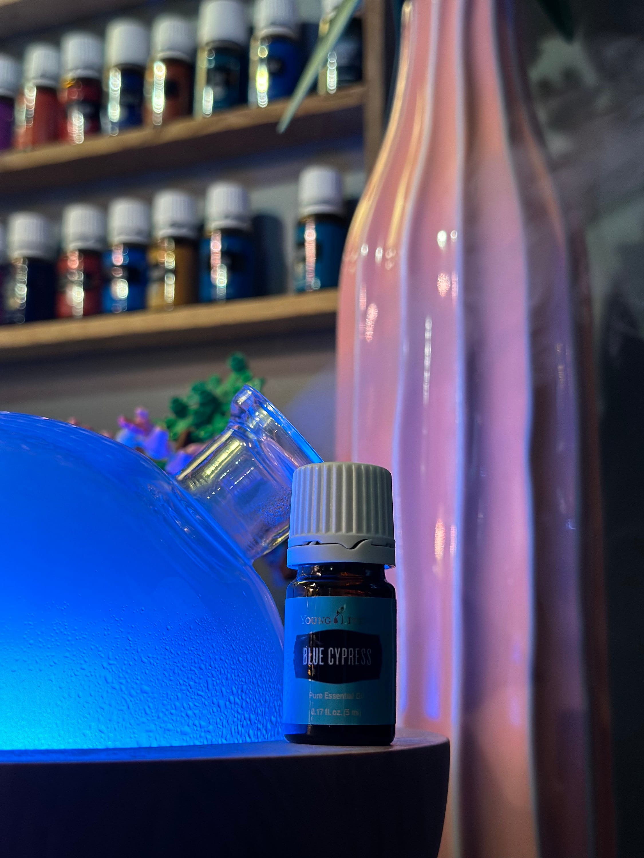 Young Living ブルー サイプレス エッセンシャルオイル 5ml Blue Cypress Essential Oil | Young Living Essential Oils