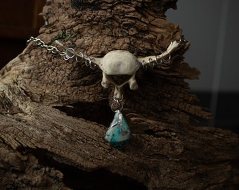 Vertebra Bone pendant with Chrysocolla crystal