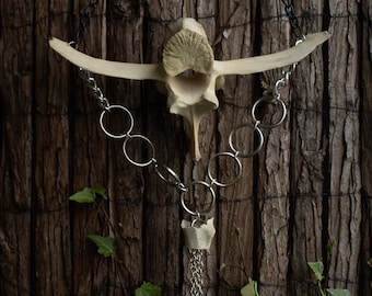 Large Vertebra Wall Hanger - Locally Ethically Sourced - Home Decor - Pagan Witch Viking - Handmade Art